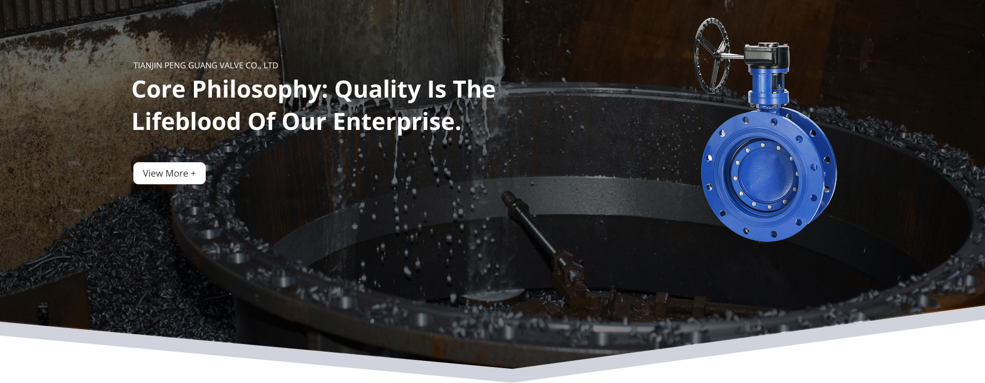 Flange Butterfly Valve