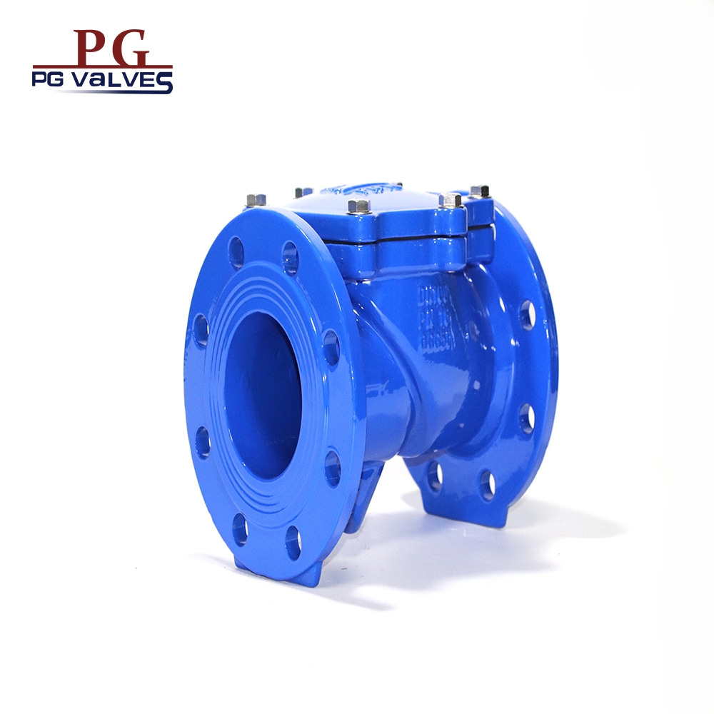 Swing Check Valve Rubber Seat