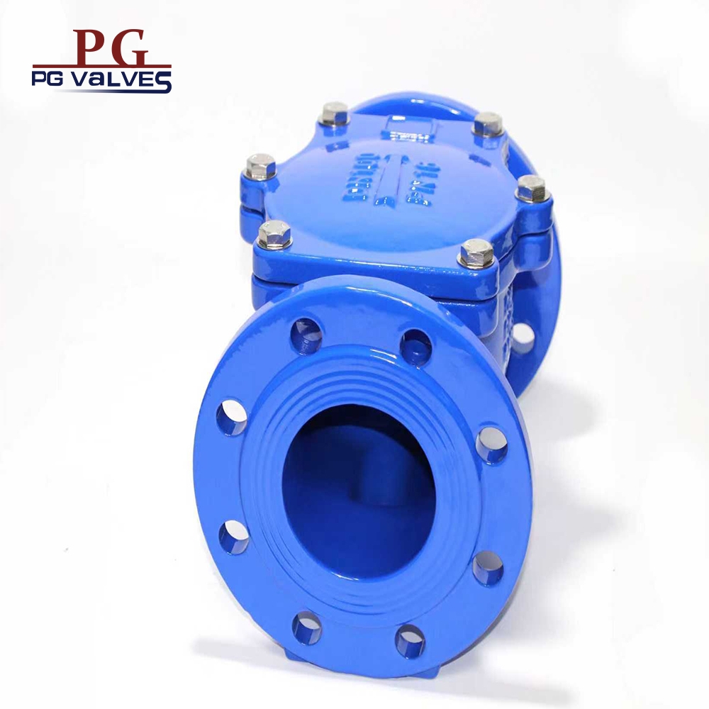 Swing Check Valve Rubber Seat