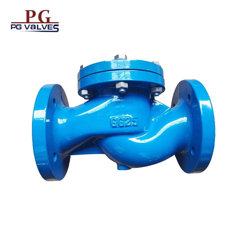 Lift Check Valve